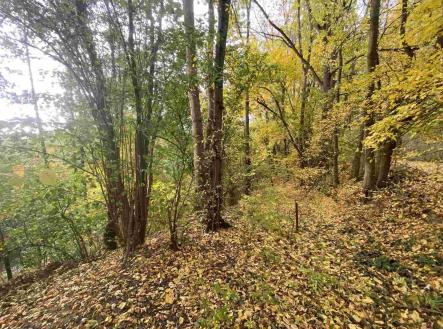 Prodej pozemku, ostatní, 4 905 m²