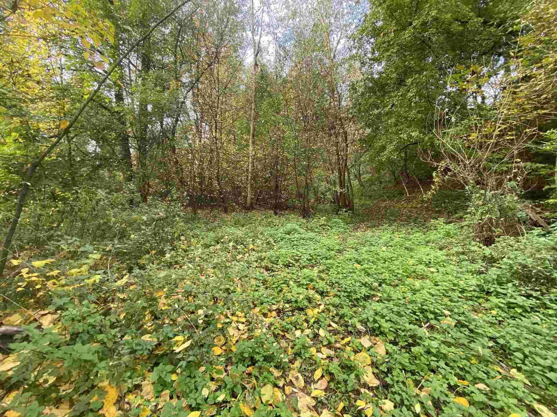 prodej pozemků k.ú. Svijany