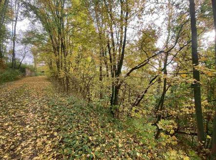 Prodej pozemku, ostatní, 4 905 m²