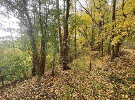 Prodej pozemku, ostatní, 2 639 m²