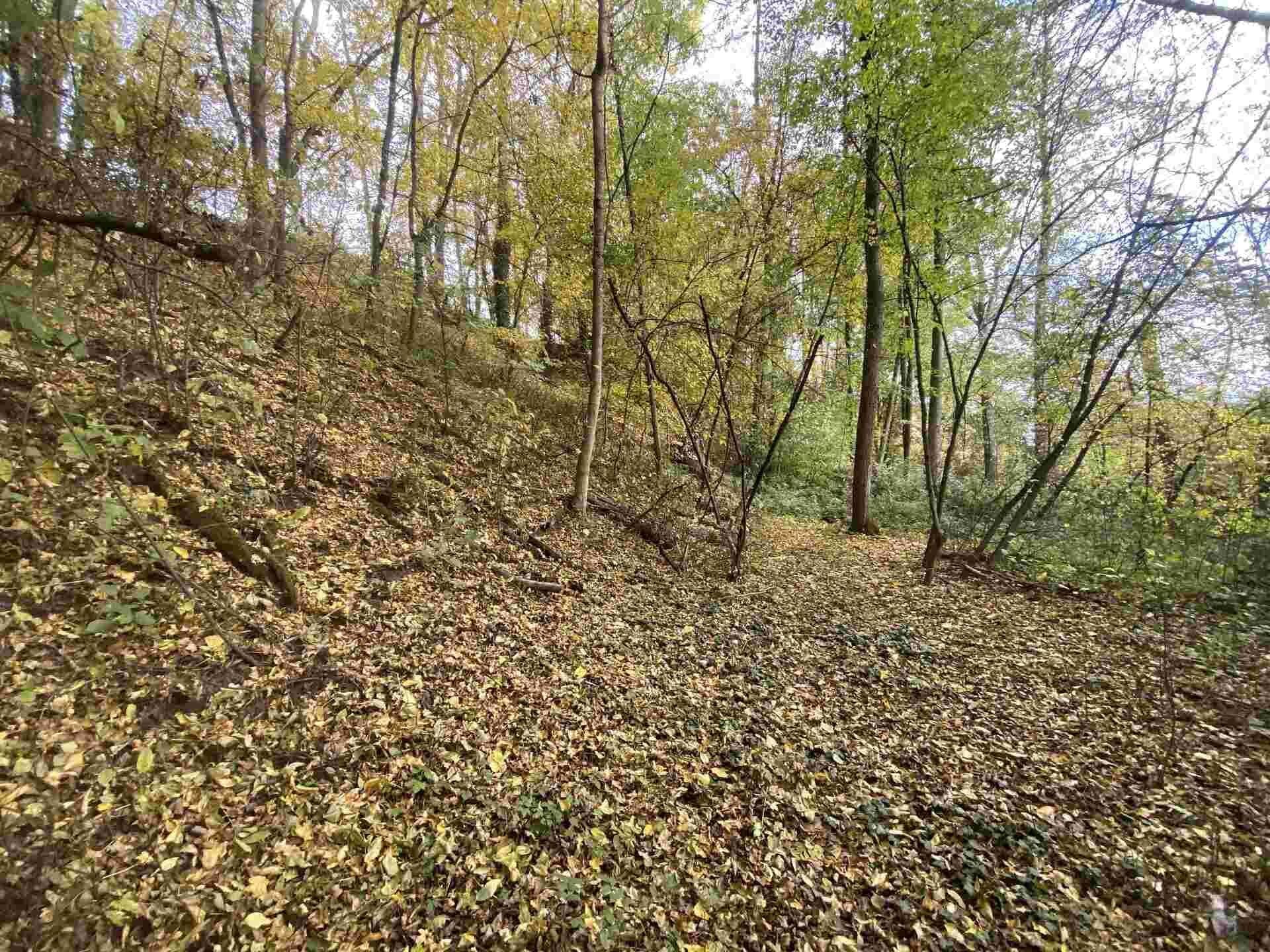 prodej pozemků Svijany