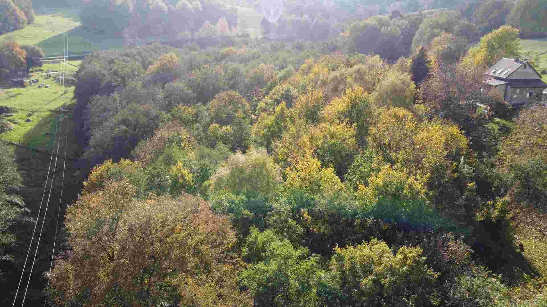 prodej pozemku k.ú. Dolní Sedlo