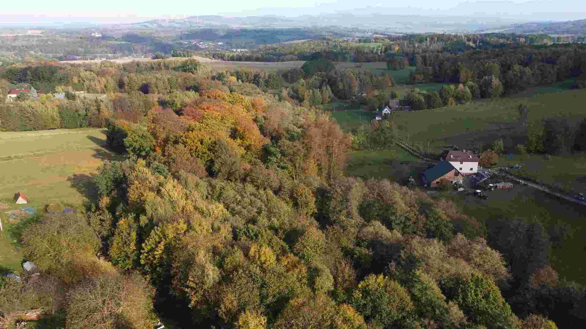 prodej pozemku k.ú. Dolní Sedlo
