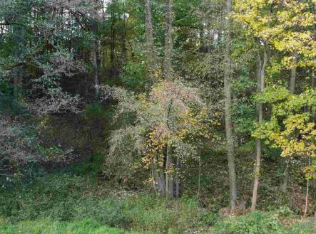 Prodej pozemku, ostatní, 543 m²