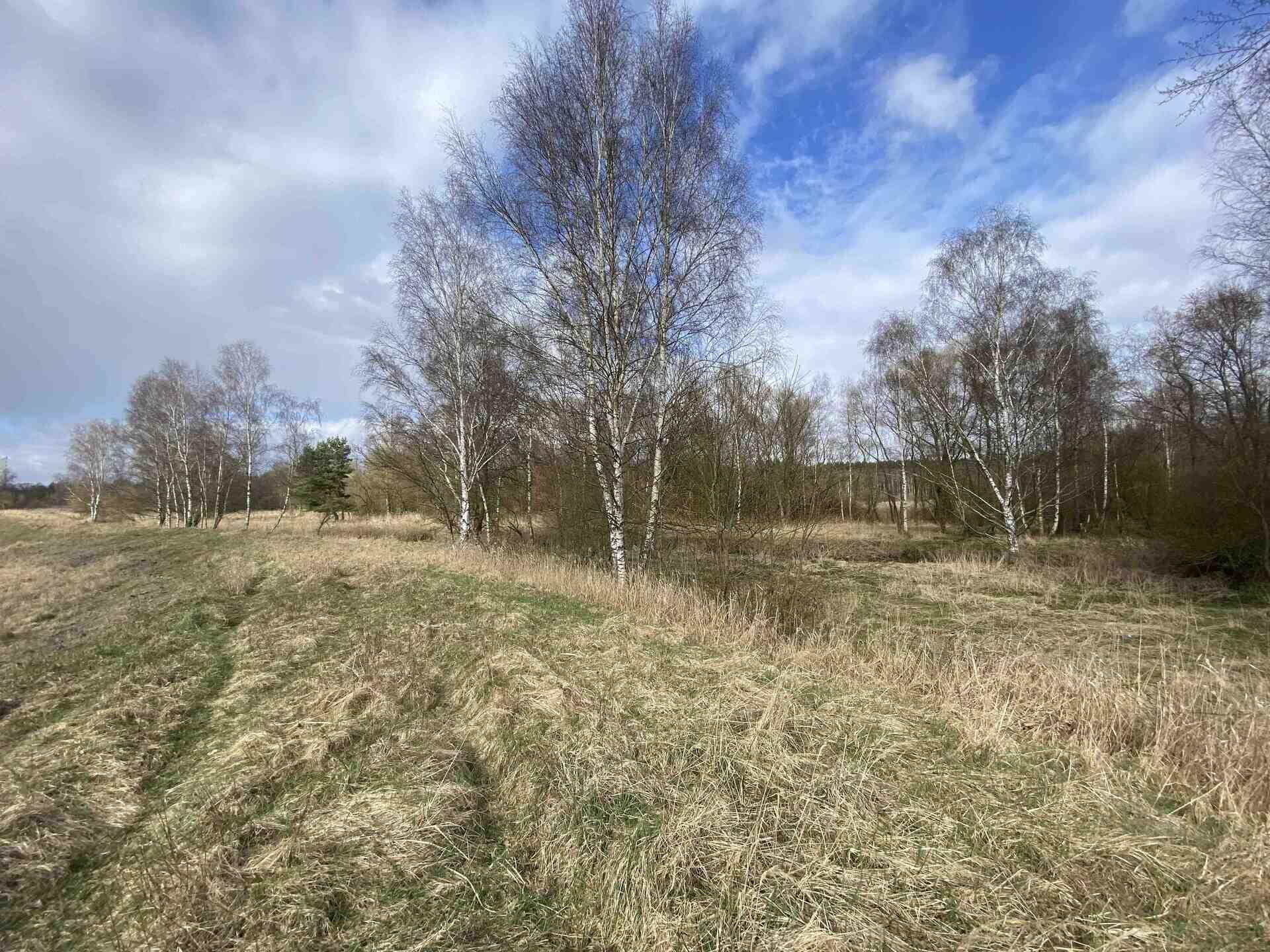 prodej pozemku Mimoň