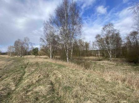 Prodej pozemku, zemědělská půda, 1 524 m²