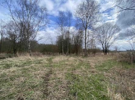 Prodej pozemku, zemědělská půda, 1 524 m²