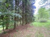 Prodej pozemku, zemědělská půda, 2 750 m²