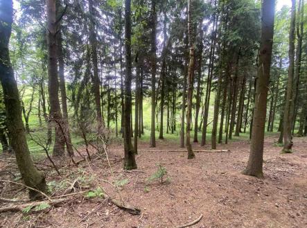 Prodej pozemku, zemědělská půda, 2 750 m²