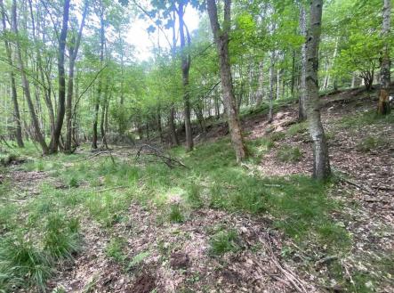 Prodej pozemku, zemědělská půda, 2 750 m²