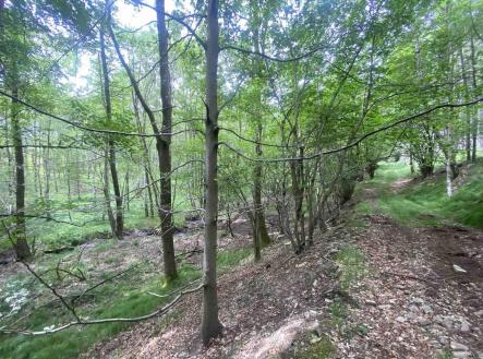 Prodej pozemku, zemědělská půda, 2 750 m²