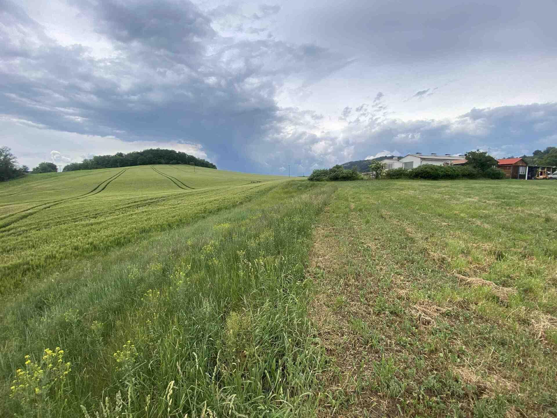 prodej pozemku Řehlovice