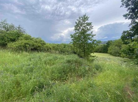 Prodej pozemku, zemědělská půda, 10 485 m²