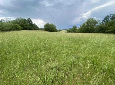 Prodej pozemku, zemědělská půda, 10 485 m²