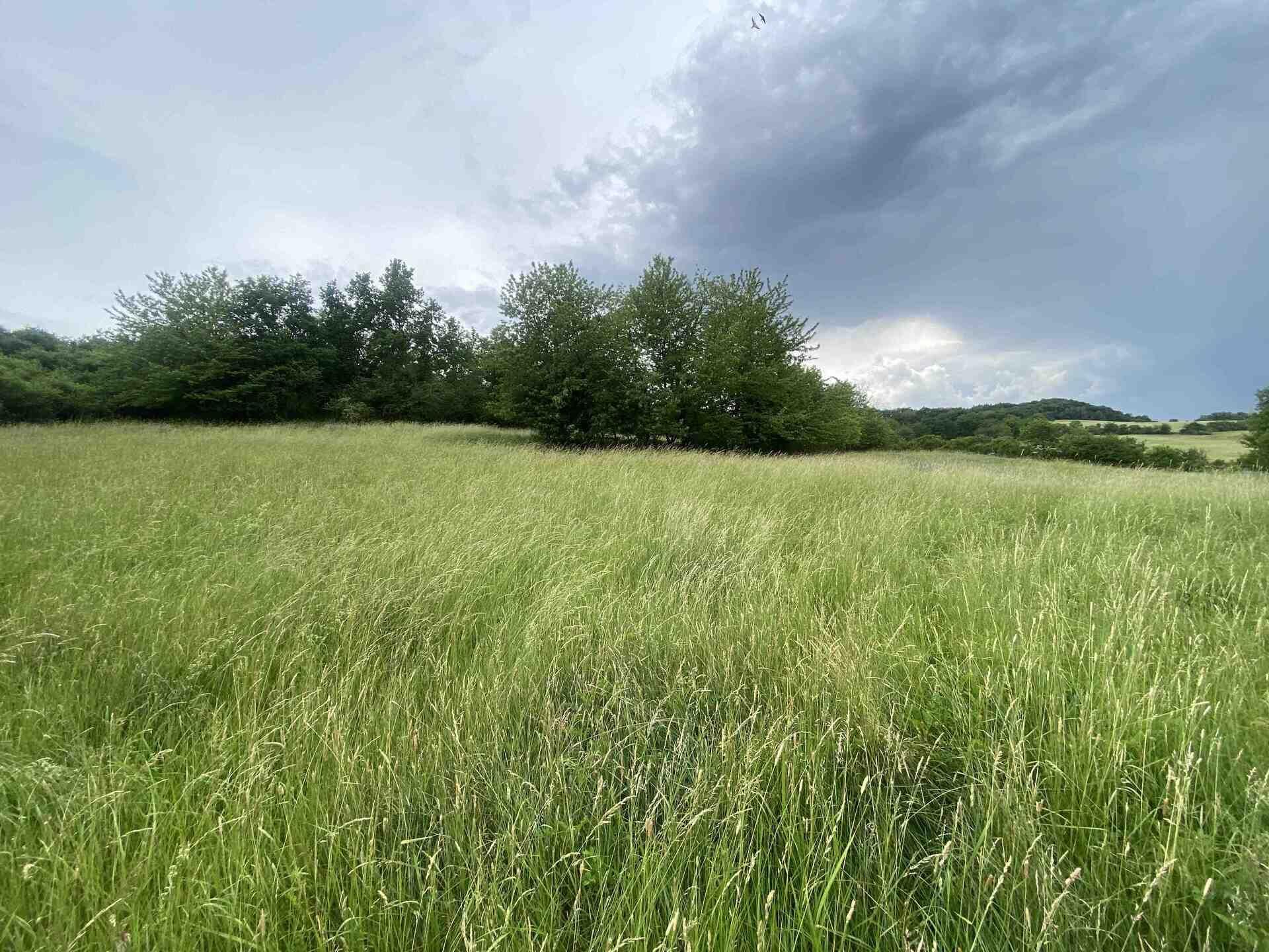 prodej pozemku Řehlovice