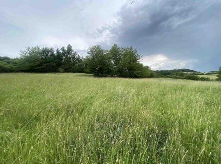 Prodej pozemku, zemědělská půda, 10 485 m²