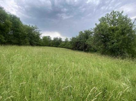 Prodej pozemku, zemědělská půda, 10 485 m²