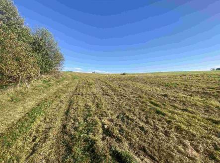 Prodej pozemku, zemědělská půda, 236 m²