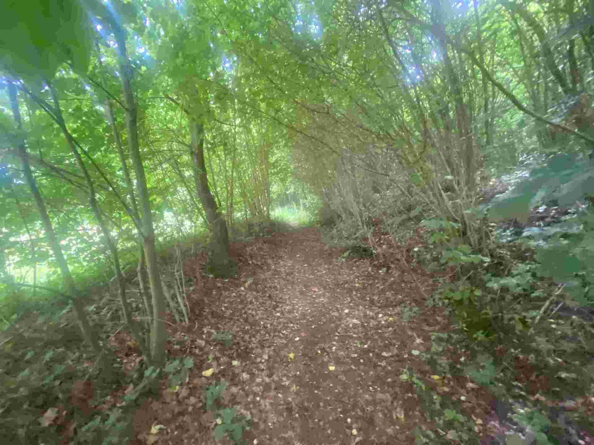 Prodej pozemku Mladkov