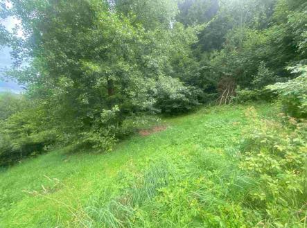 Prodej pozemku pro bydlení, 1 004 m²