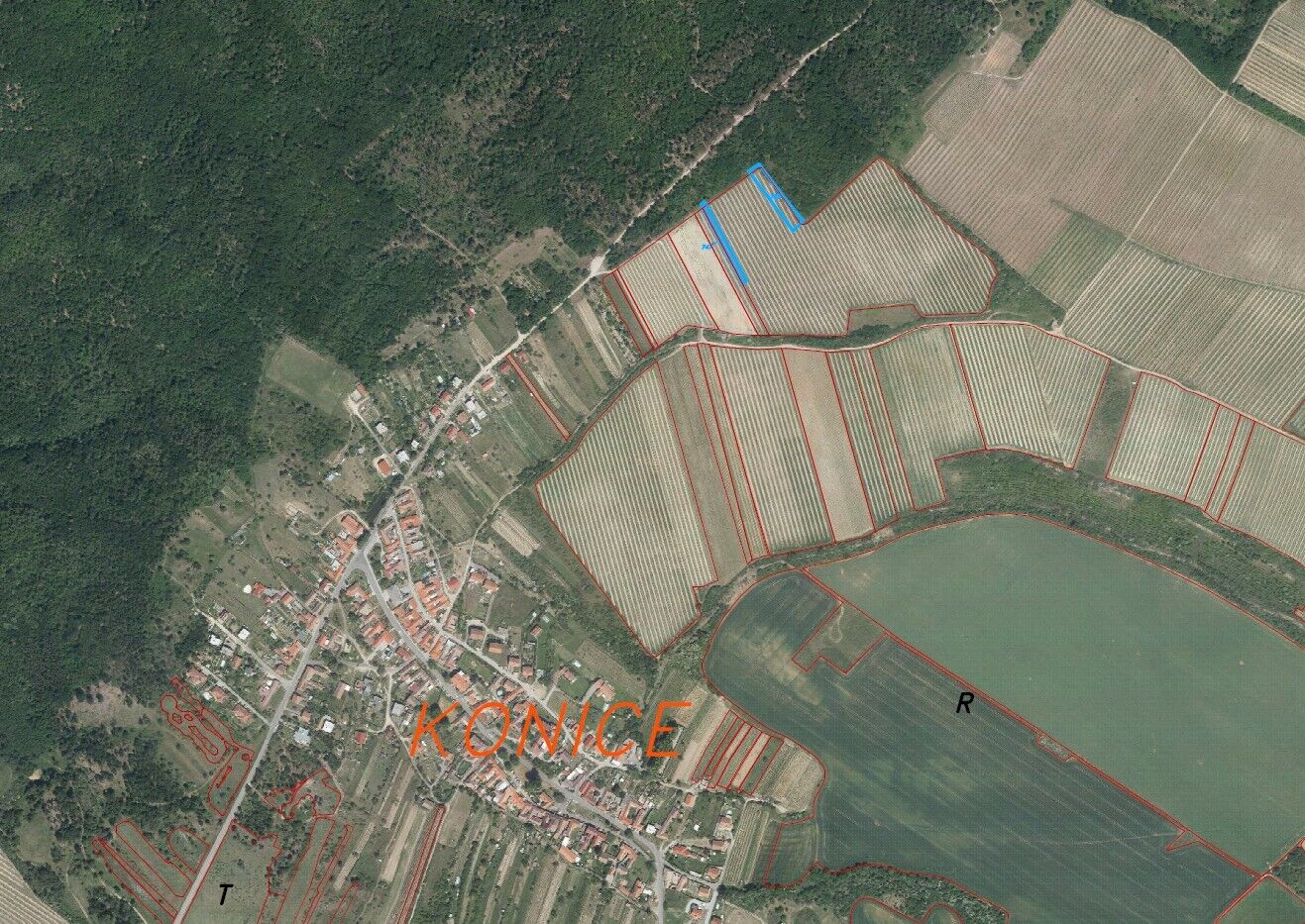 Prodej vinic Konice u Znojma