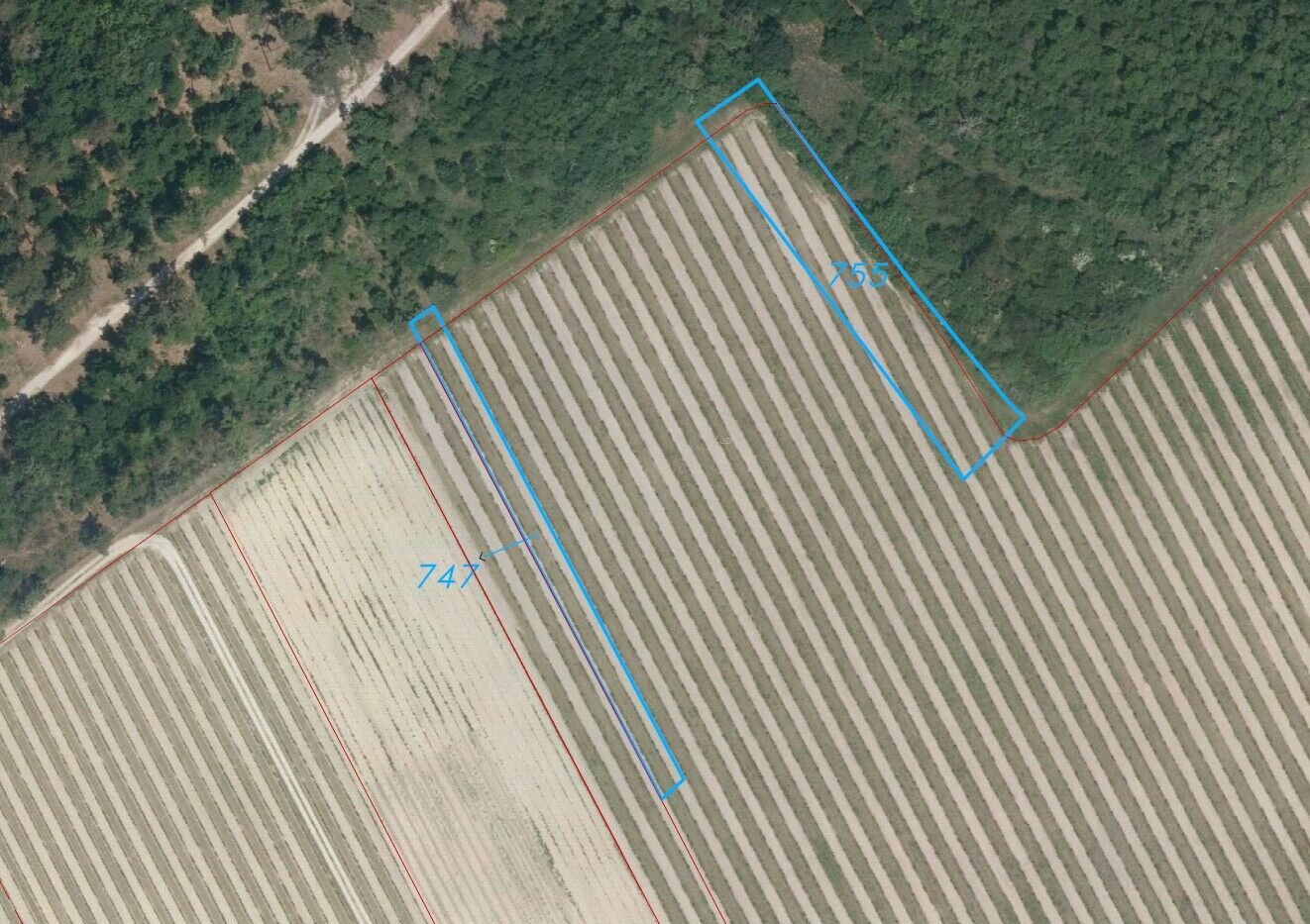 Prodej vinic Konice u Znojma