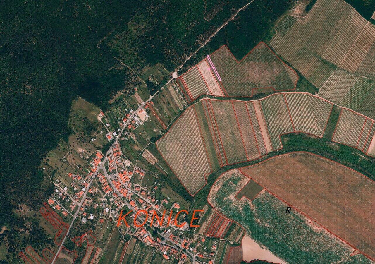 Prodej vinic Konice u Znojma