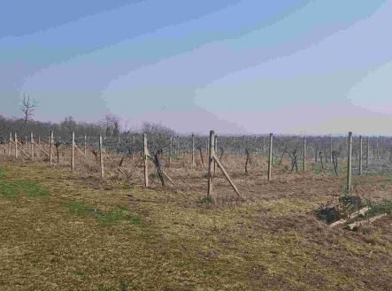 Prodej pozemku, ostatní, 754 m²