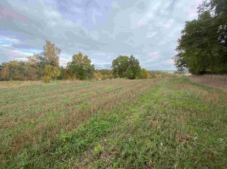 Prodej pozemku, ostatní, 2 376 m²