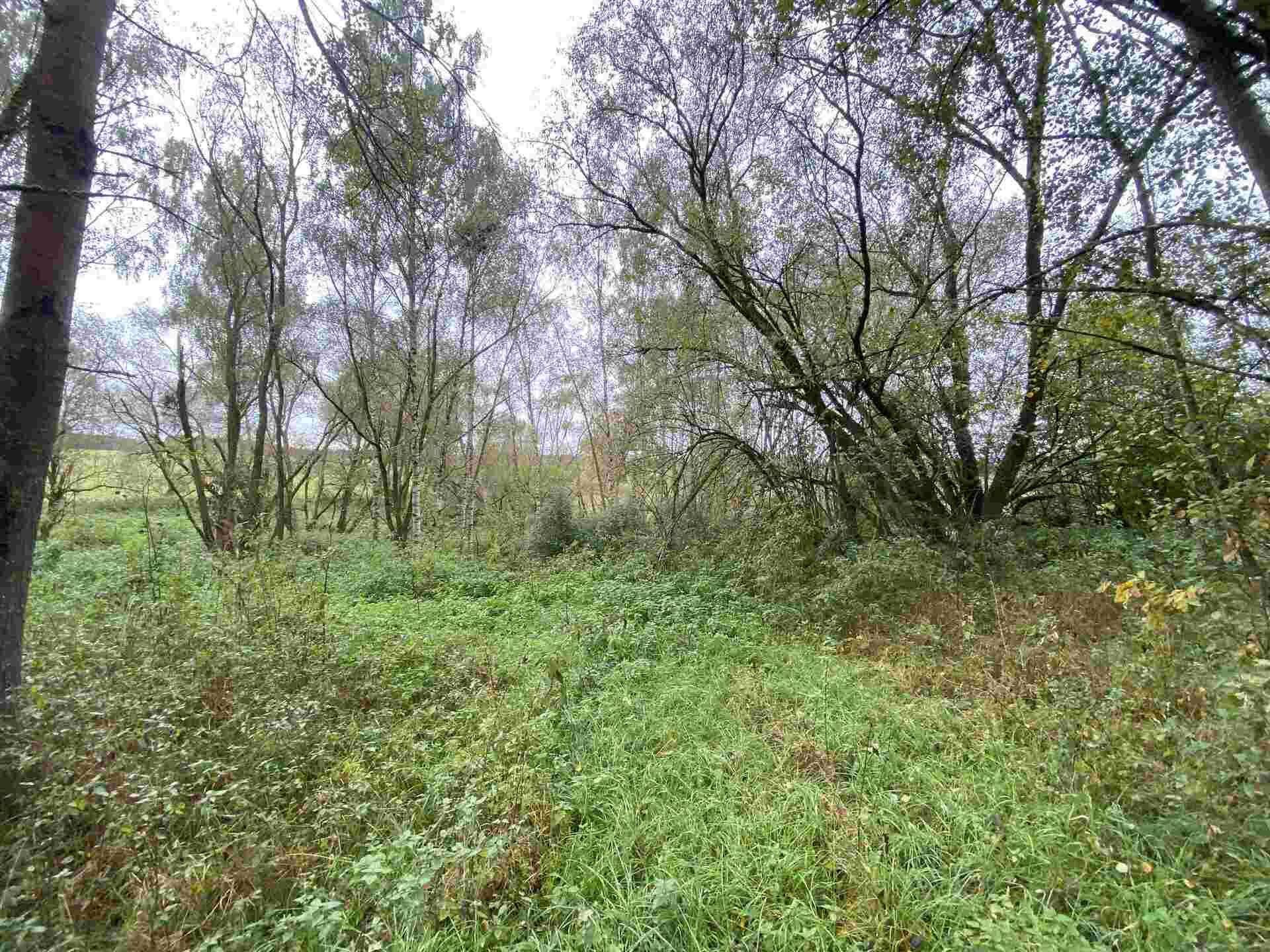 Prodej pozemků Horní Dvořiště