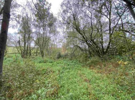 Prodej pozemku, ostatní, 10 042 m²