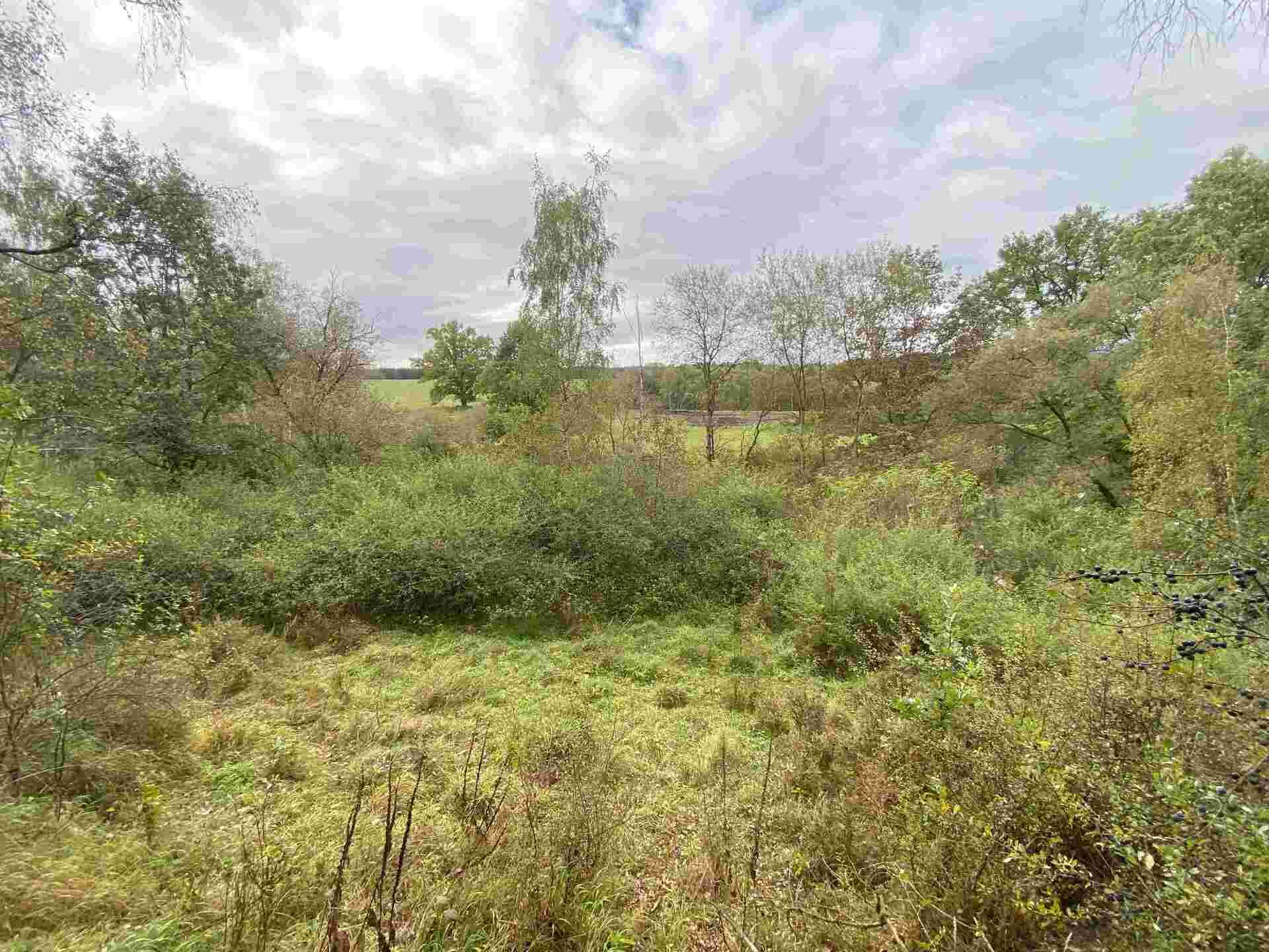 Prodej pozemků Horní Dvořiště