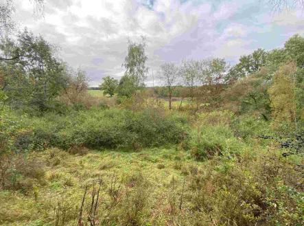 Prodej pozemku, ostatní, 10 042 m²