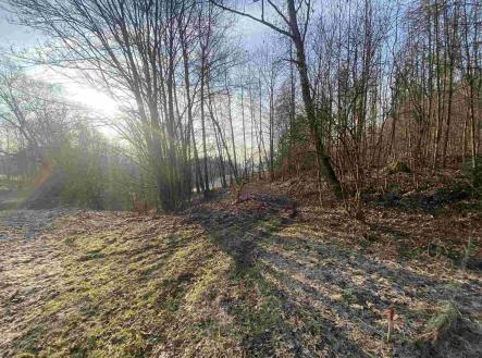 Prodej pozemku, zemědělská půda, 1 005 m²