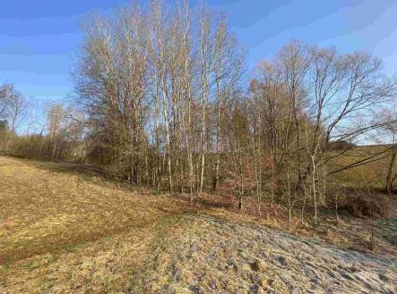 Prodej pozemku, zemědělská půda, 1 005 m²