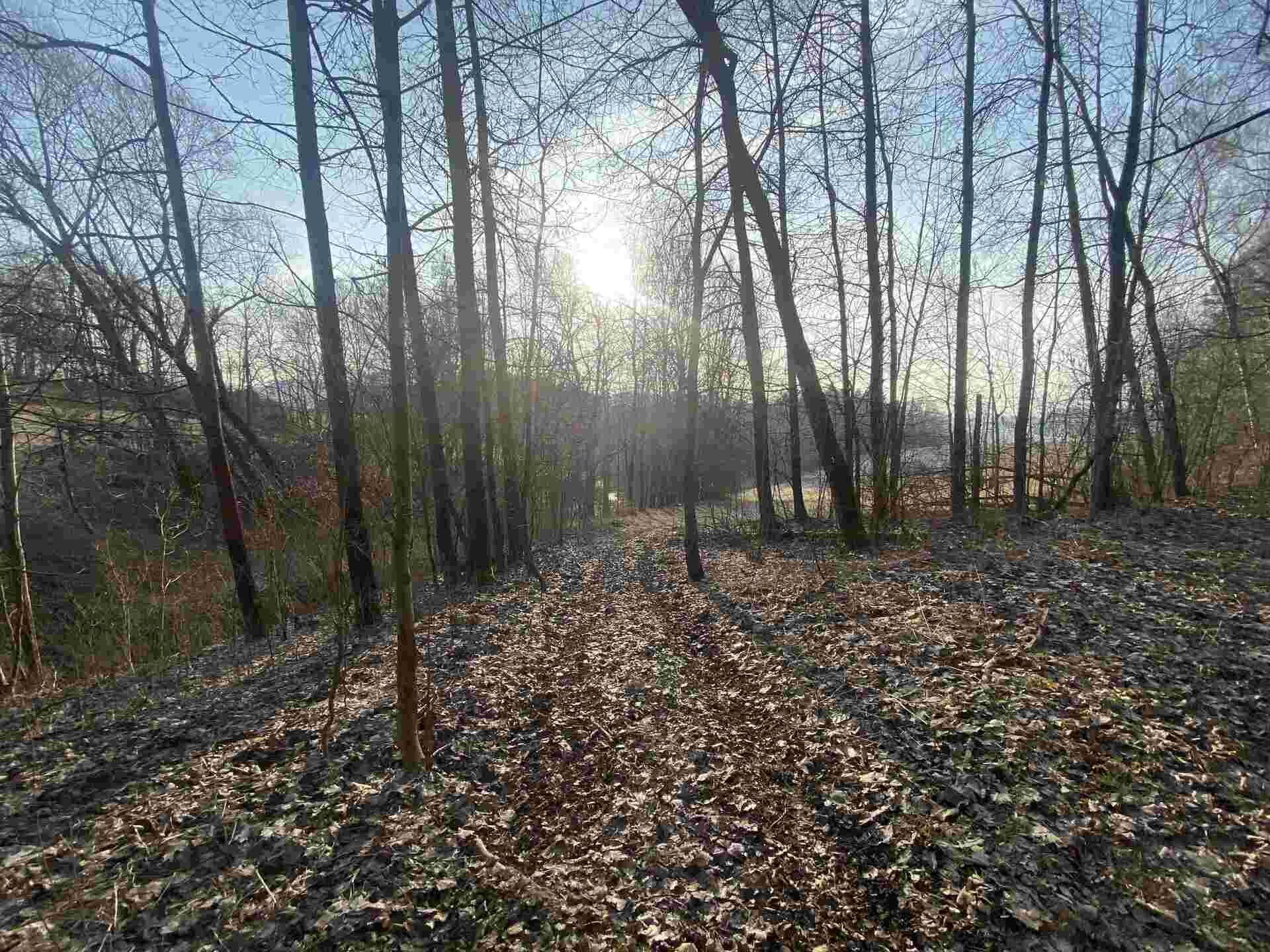 prodej pozemků Benešov u Semil + Čikvásky