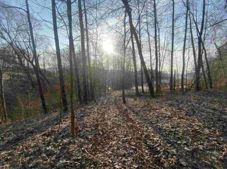 Prodej pozemku, zemědělská půda, 1 005 m²
