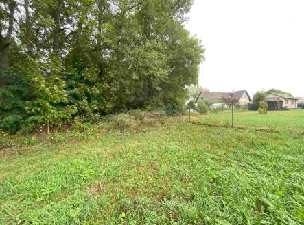 Prodej pozemku, ostatní, 1 994 m²