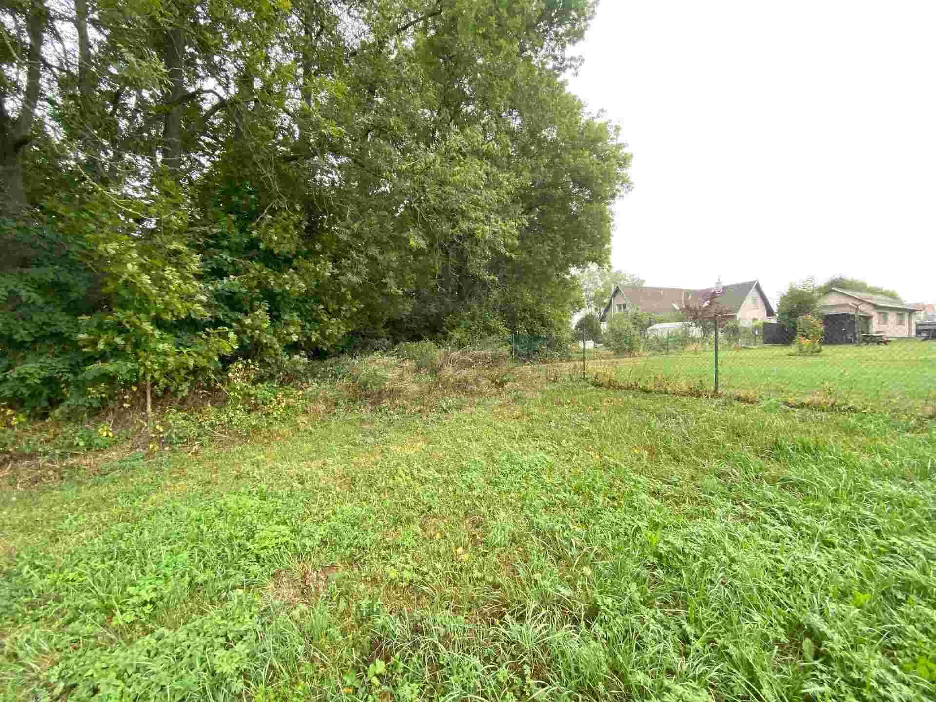 DRAŽBA pozemků Helvíkovice