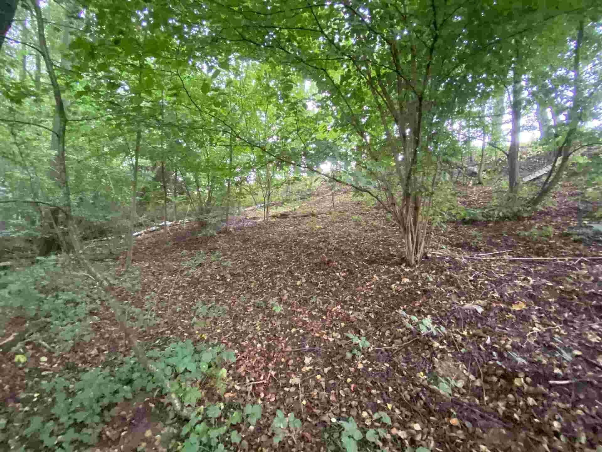 DRAŽBA pozemků Helvíkovice