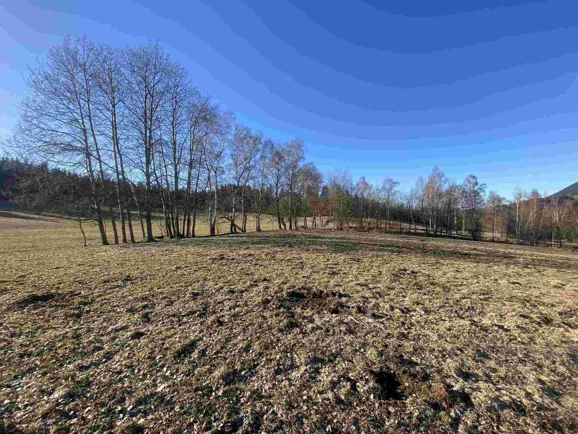 DRAŽBA pozemku Bečkov