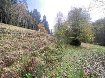 Prodej pozemku, ostatní, 2 902 m²