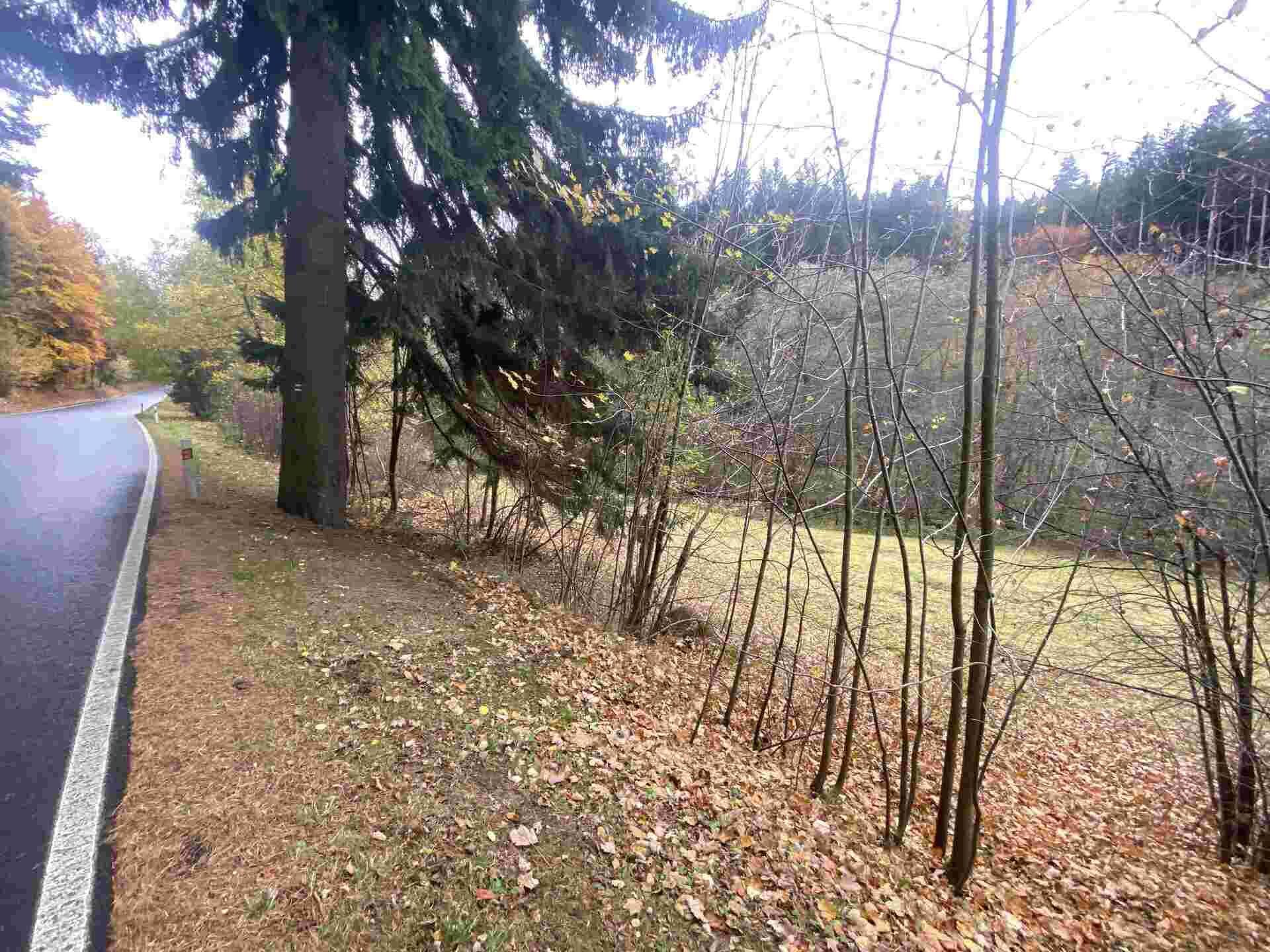 prodej pozemku Chlum u Hartmanic