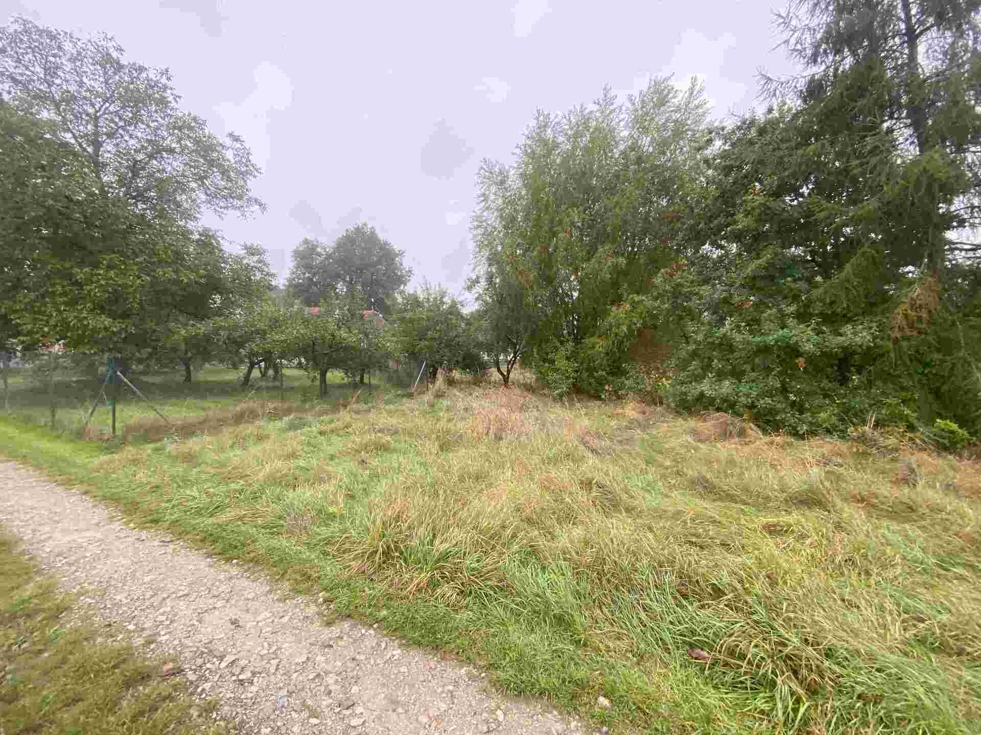 Prodej pozemku Bzí u Dolního Bukovska