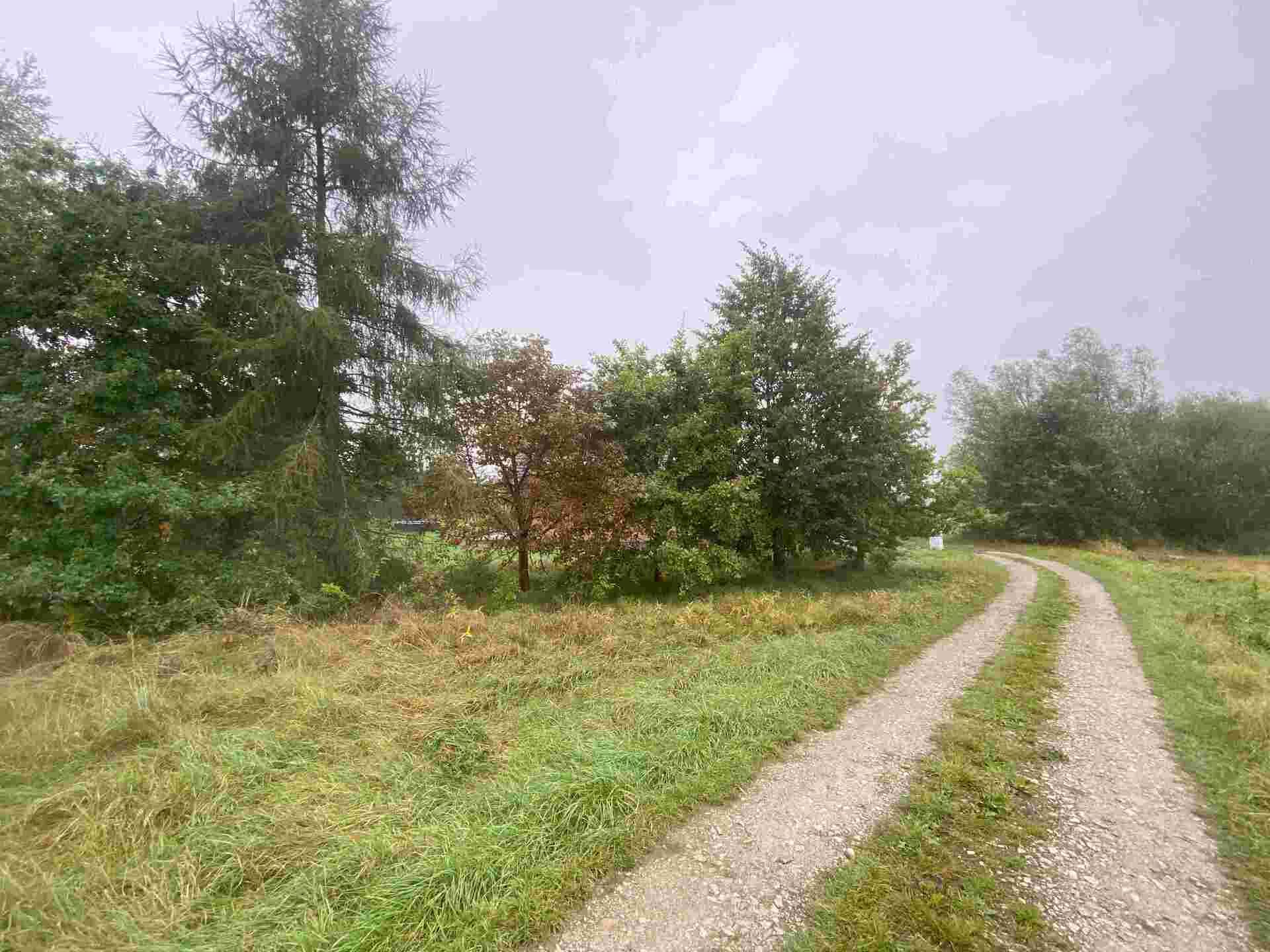 Prodej pozemku Bzí u Dolního Bukovska