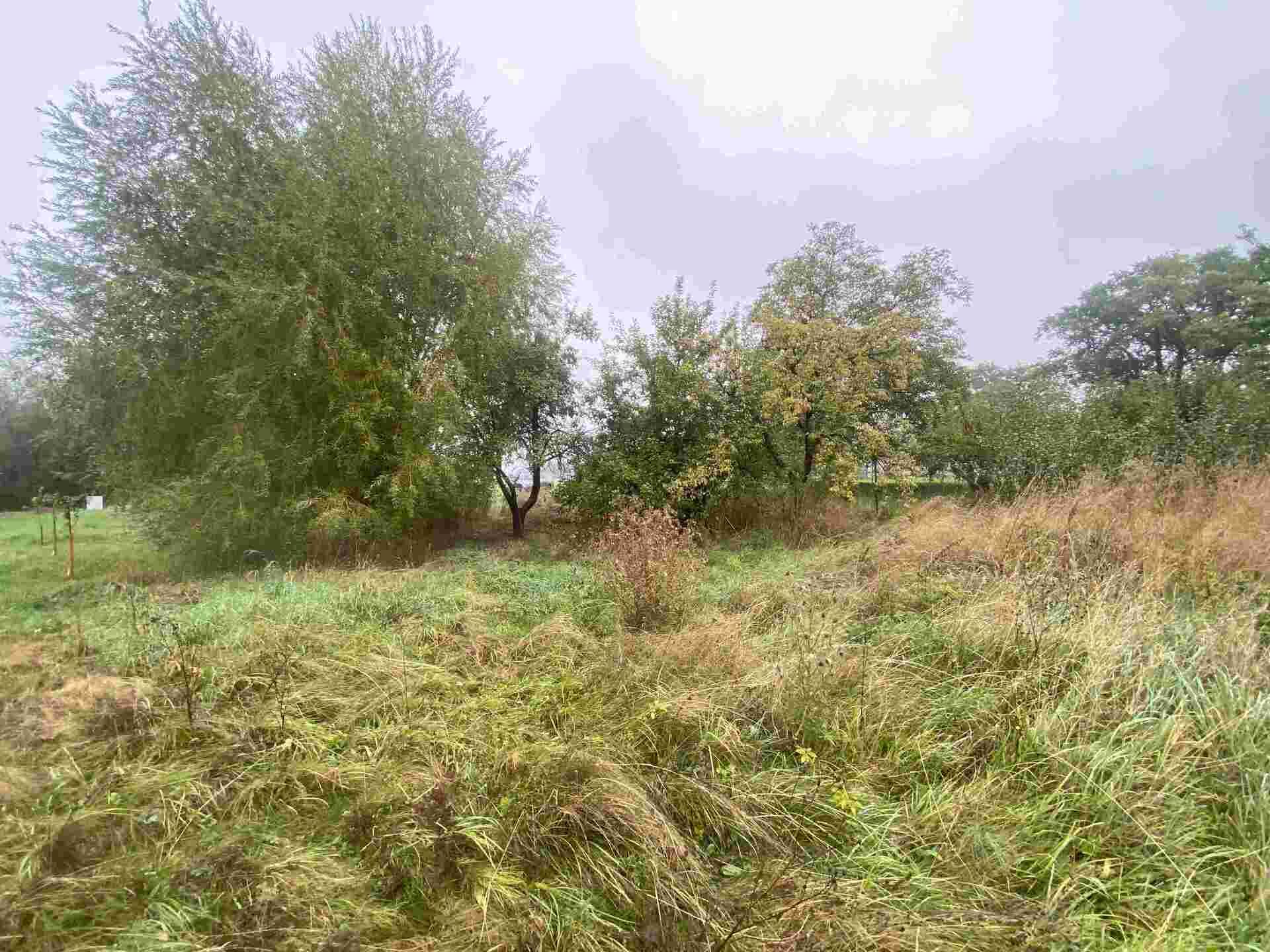 Prodej pozemku Bzí u Dolního Bukovska