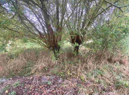 Prodej pozemku pro bydlení, 588 m²