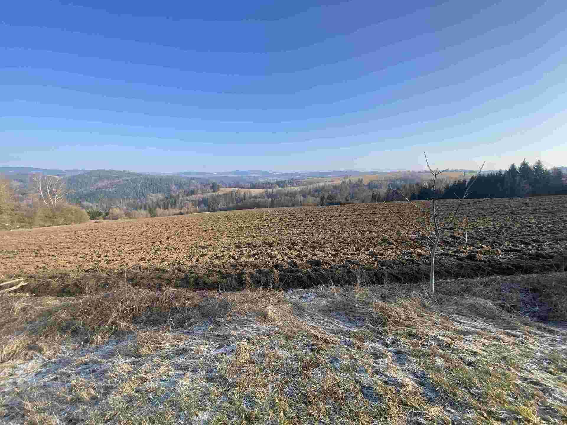 dražba pozemků Spálov u Semil