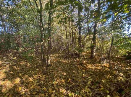 Prodej pozemku pro bydlení, 1 043 m²