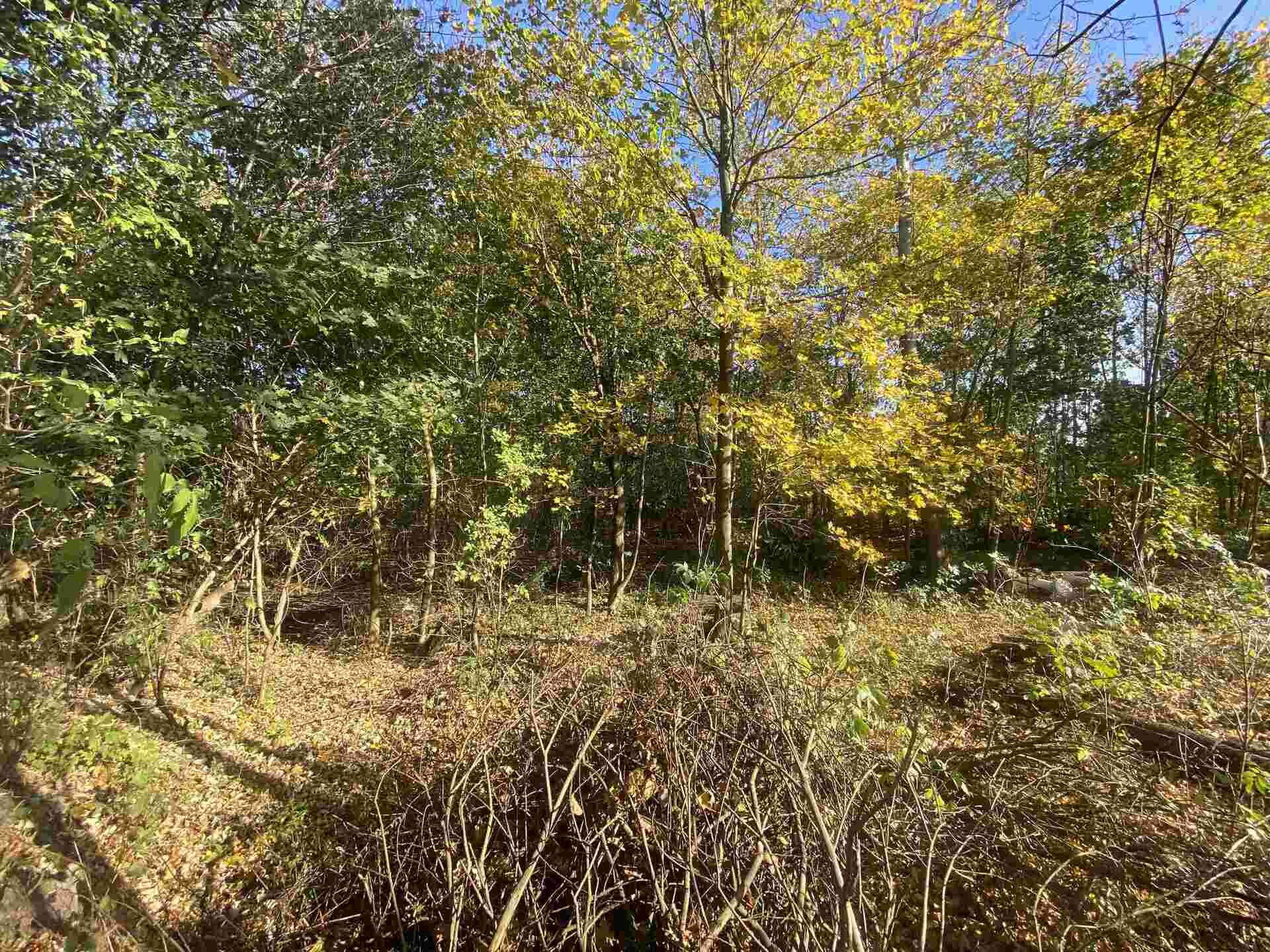 Prodej pozemku Zdislava